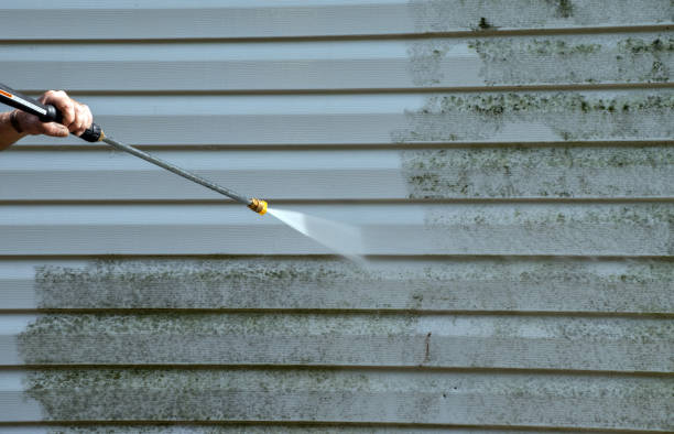 Best Deck and Patio Pressure Washing in Denver, IA