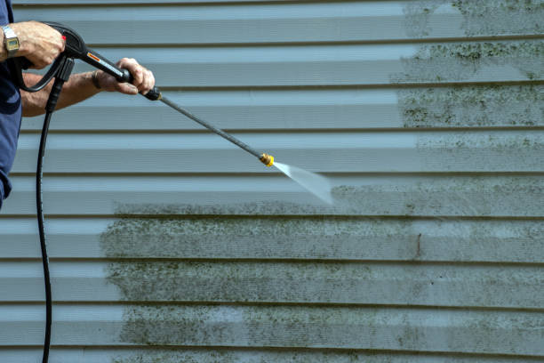 Best Sidewalk and Walkway Pressure Cleaning in Denver, IA
